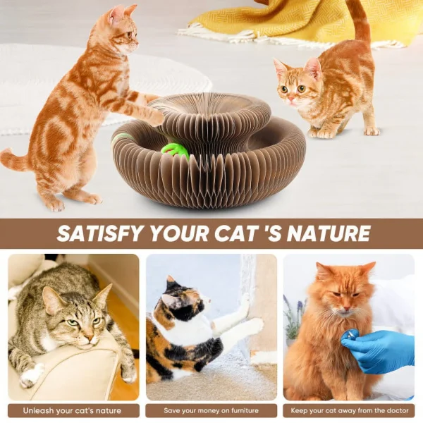 Magic Foldable Cat Scratch Board with Bell - Image 5